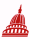 Washington Express Visas Dome Icon
